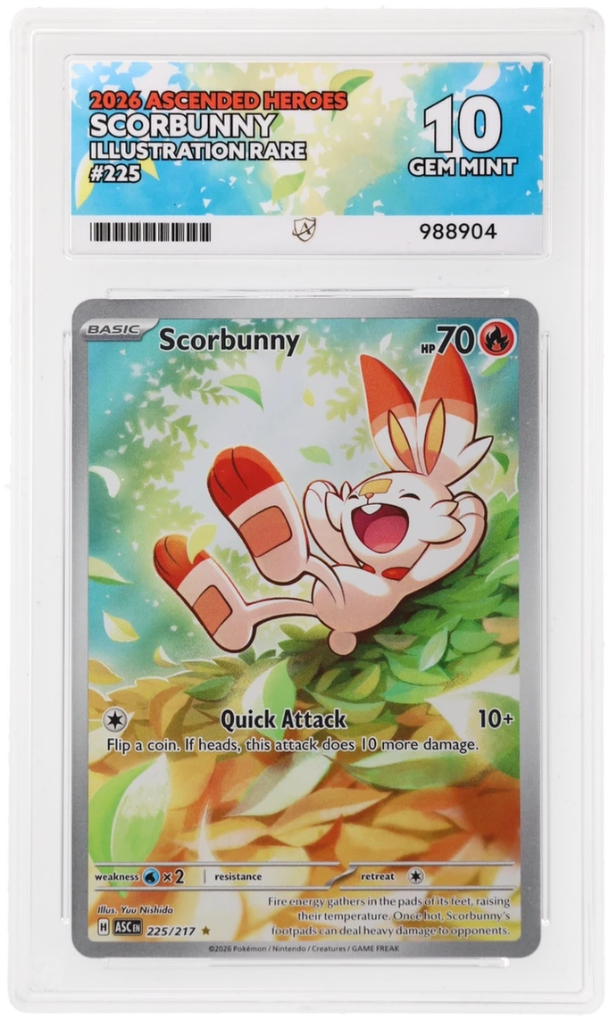 Scorbunny - Ascended Heroes - 225/217 - Illustration Rare ACE 10
